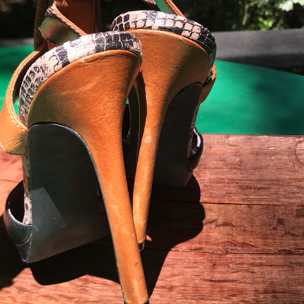 Steve Madden - Picture 7 of 8